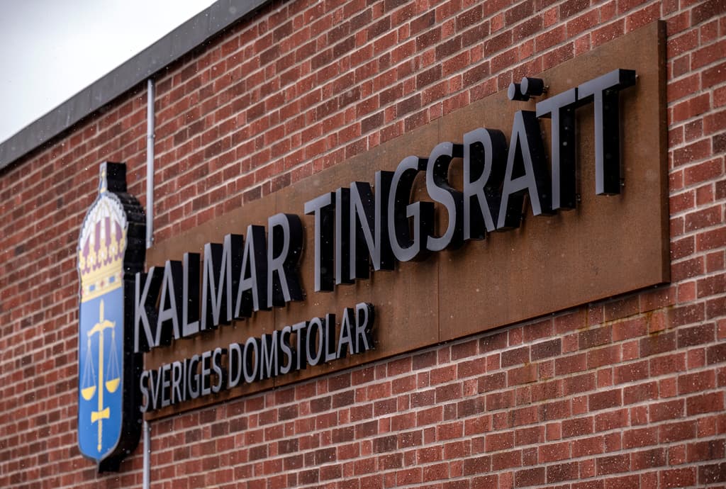 Prison sentence for manufacturing weapons in a printer