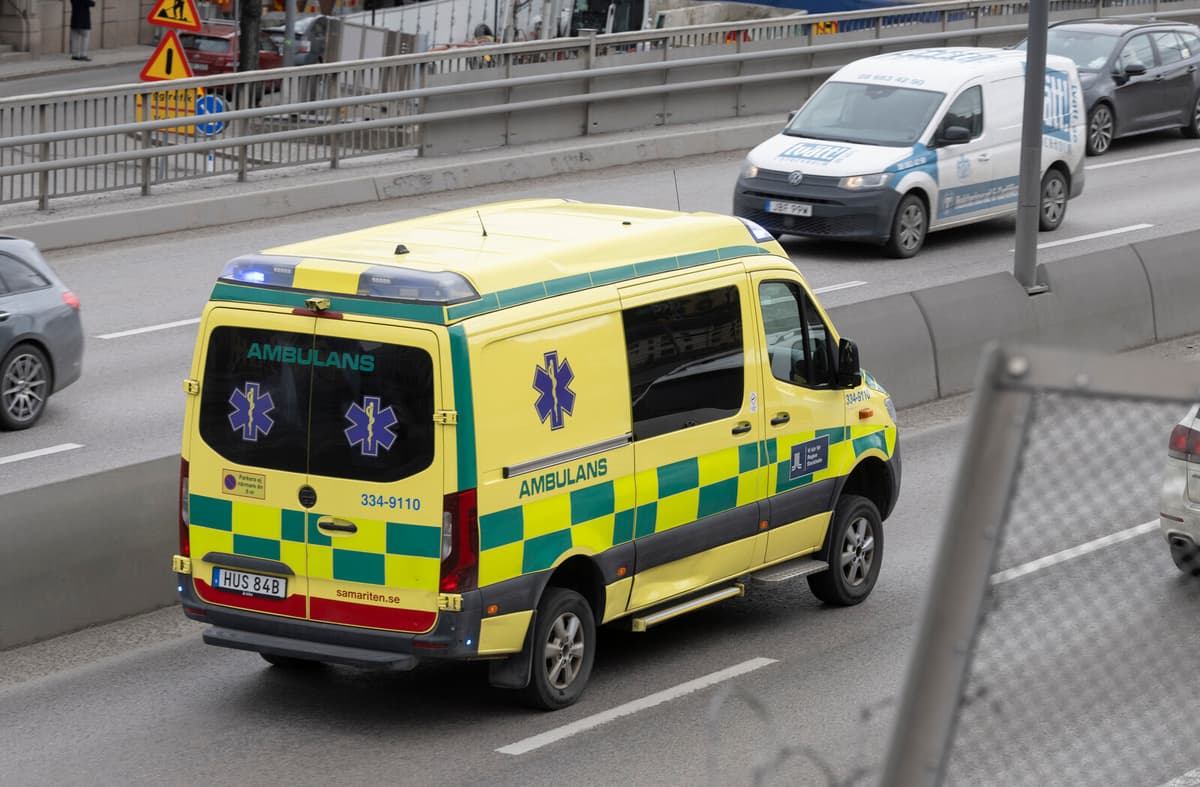 Dog on the Loose – Two Taken to Hospital after Crash