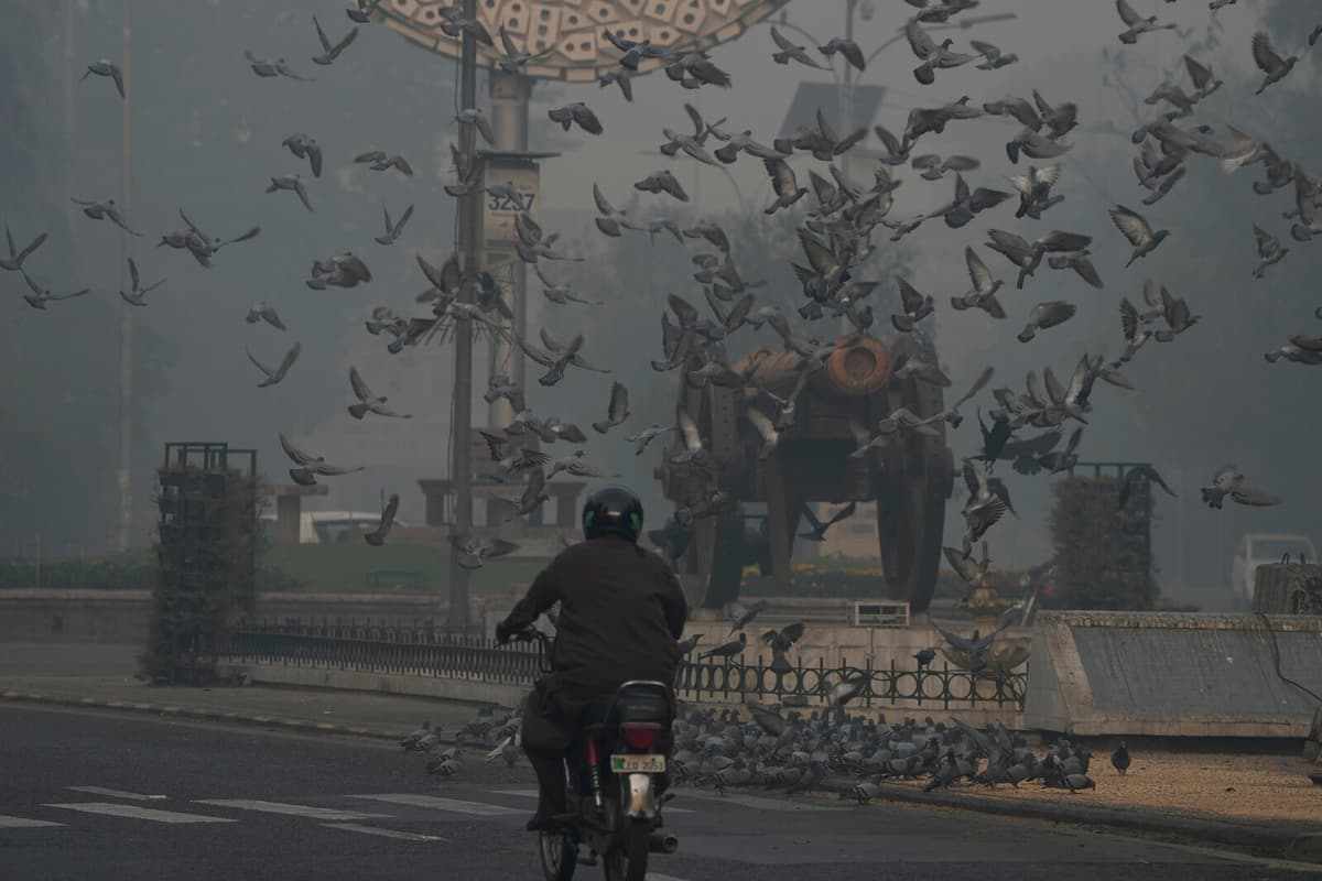 Pakistan closes schools due to smog